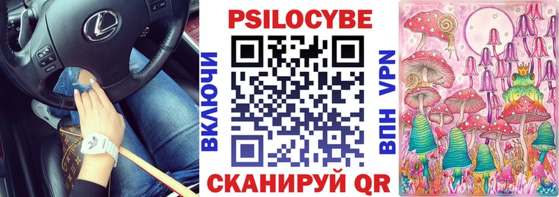 Галлюциногенные грибы Psilocybine cubensis  цены   Балтийск 